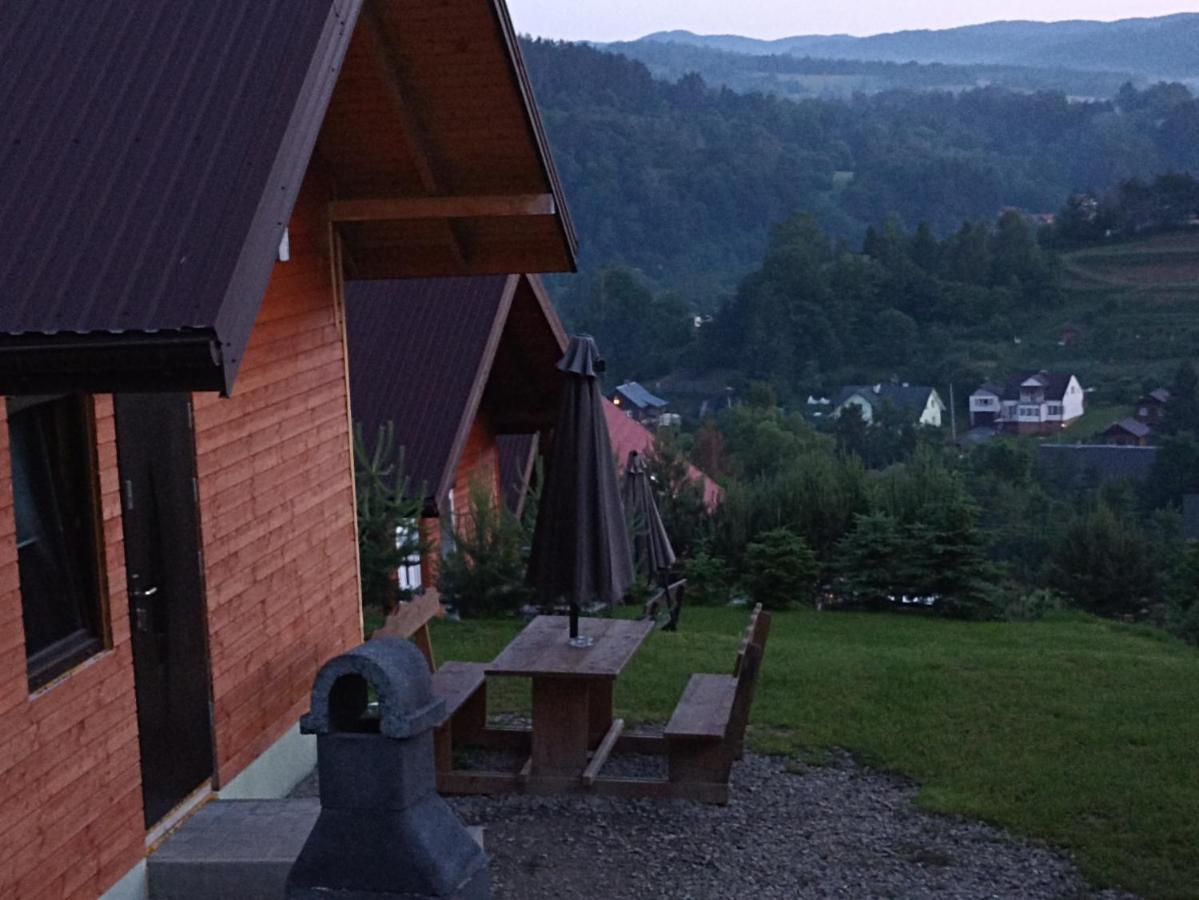 Domki I Apartamenty Nad Jeziorem Solinskim Z Basenem I Widokiem Na Gory Wolkowyja Exterior photo
